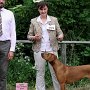 Zuri gewinnt die offene Klasse der Hündinnen, wird beste Hündin des Tages und bekommt schließlich noch das BOB zugesprochen! Was für ein Erfolg!!! 