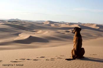 Namib