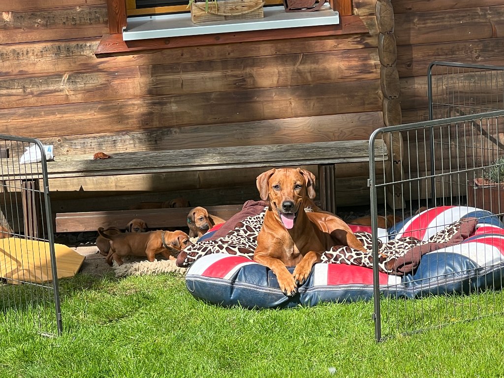 Gartenauflüge der Dakaris