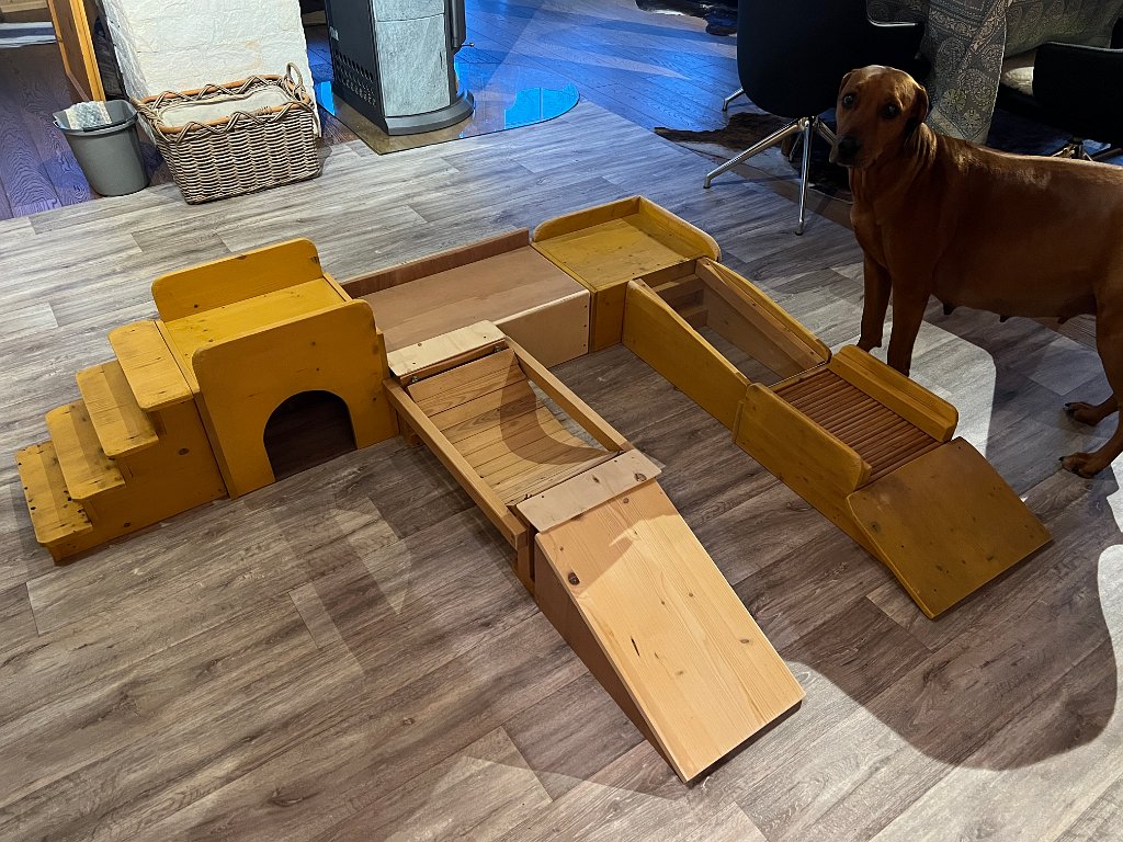 Unser Welpenkindergarten