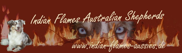  www.indian-flames-aussies.de 